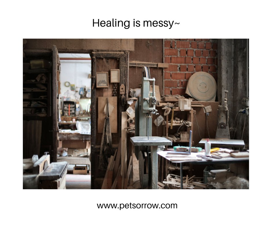 It's alright if you thought you were ok, but it comes back to haunt you.
It's alright to crumble even if you thought you had everything under control.
All is not lost.
Healing is messy. And remember there is no timetable for recovery 🦋

#petloss #petlosssupport