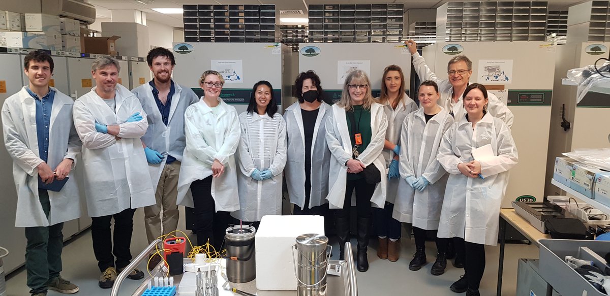 Our RZSS WildGenes team recently attended a corals and fish cryopreservation workshop hosted by <a href="/ZSLScience/">ZSL Science</a> and <a href="/NHM_London/">Natural History Museum</a> 🪸

This was a great opportunity to take part in practical training, and to discuss the integration of these key taxa groups into UK biobank facilities 🧬