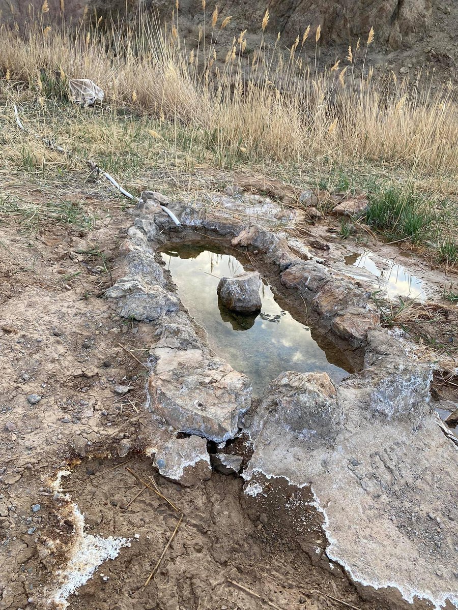 Ер нь зүгээр мазаалай нь ч тэр аргаль янгир нь ч тэр хар сүүлт зээр ч гэсэн усгүйгээс болж маш их үхдэг. Үхүүлэхгүйн тулд биотехникийн арга хэмжээг шаардлагатай газруудад хийсээр ирсэн. Яам этр нь жоохон анхаардаг болоосой