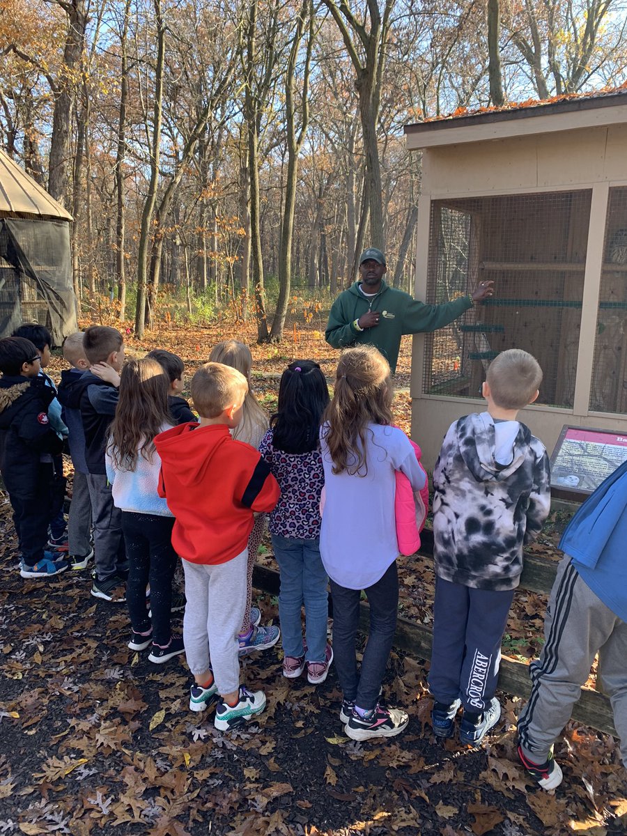 Mary Ryan tweet media