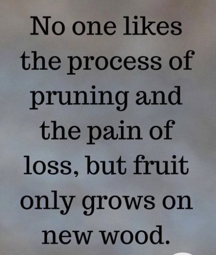 lyonsden28's tweet image. #PruningProcess #HappyWednesday