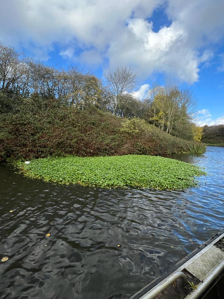 Please try and help not spread floating pennywort. Try to avoid boating through floating clumps. If it gets stuck on your boat, please remove it by taking it out of the water to decompose. It's a prolific spreader! We need your help to tackle it. Thanks! ow.ly/eLsZ50LrEVM