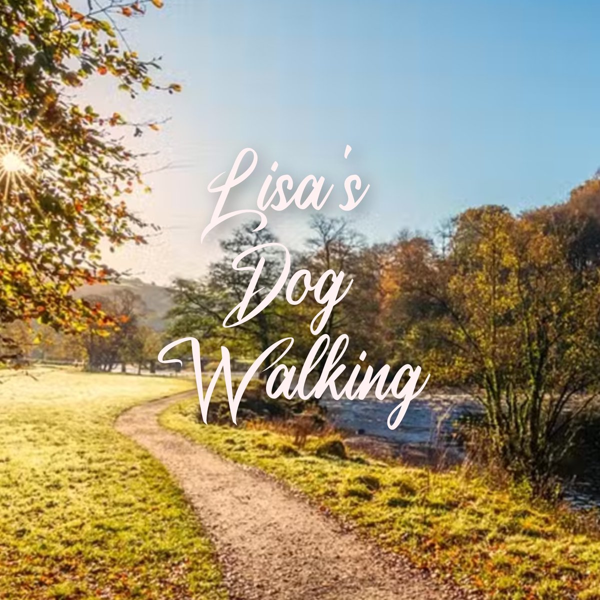 LBrookes's tweet photo. Hi all! Please go and follow my page.. Lisa's Dog Walking on Facebook. I have decided to start my own little business doing something that i love. Your support will help my page massively. And i will be forever grateful if you give me a follow #dogwalkers #dogwalkingbuisness https://t.co/kE2M8o3aFz