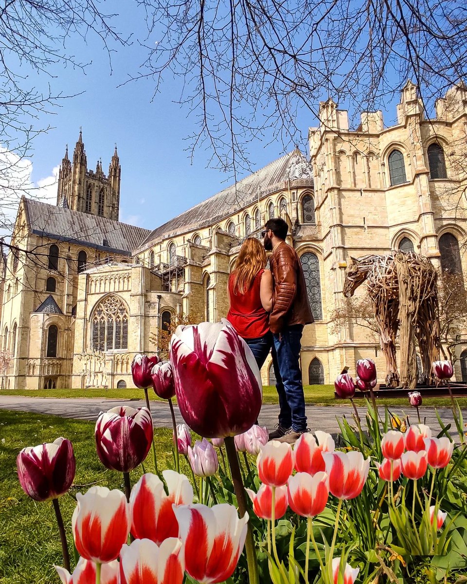 There are so many captivating places to #visit across our #city and this shot beautifully captures one of our most iconic. We love seeing your #photos. Make sure to tag us for a chance to be featured. @CburyCathedral 📸 twoworldbackpackers on Instagram.