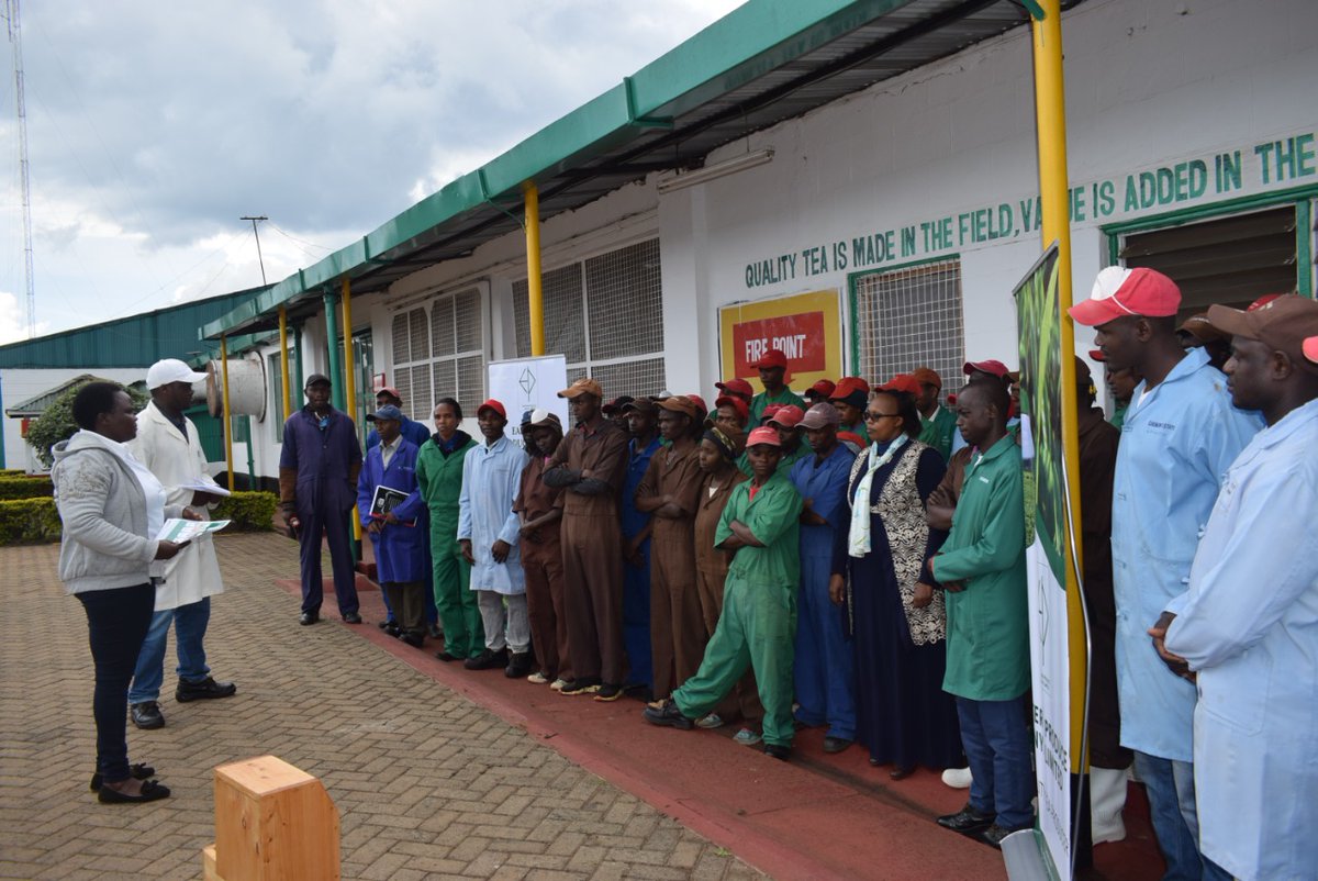 Eastern Produce Kenya Limited on Twitter "Employees in Sitoi, Chemomi
