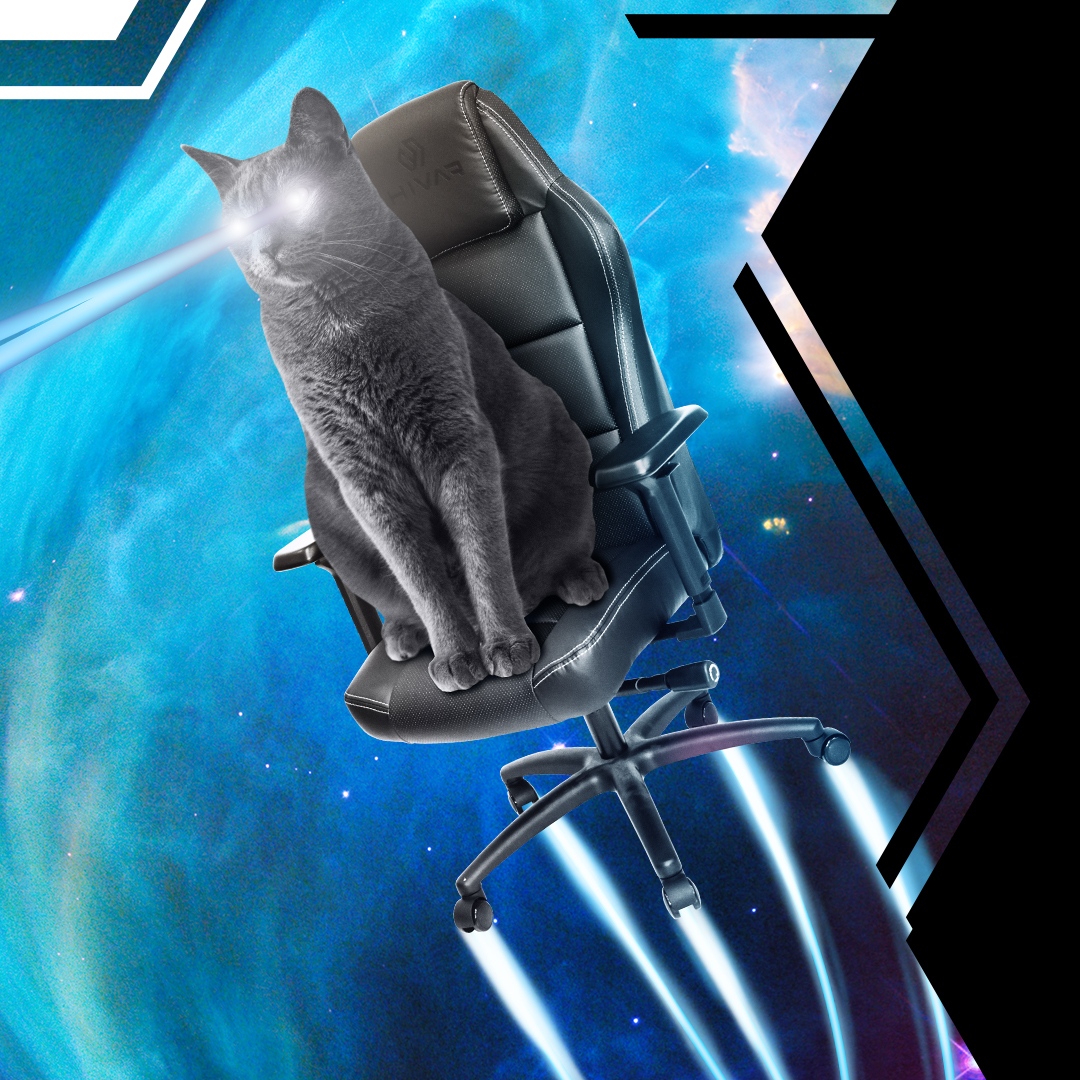 hivar_official's tweet photo. Unsere Mission mit HIVAR ist es, hochwertige modulare Computerstühle, die sich in Sachen Design und Funktionalität mühelos an die Anforderungen des digitalen Alltags anpassen, zu entwickeln. 

Entdecke unsere Stühle unter https://t.co/JOnLIQCTRi

#hivar #gaming #Lifestyle #Chairs https://t.co/s7pz0fZt4u