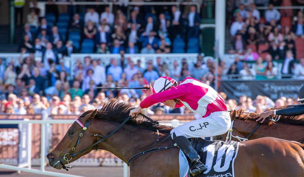 Durrant_Racing's tweet photo. DURRANT RACING TREBLE 🏆
REAL DANGER [#IAmInvincible X Real Charm]
HE’S A LUCKY LAD [#MyAdmiration X Lucky You]
RARE ENCOUNTER [#AlMaher X Miss Encounter]

📷 @WesternRacepix https://t.co/HbK1RWRPVR