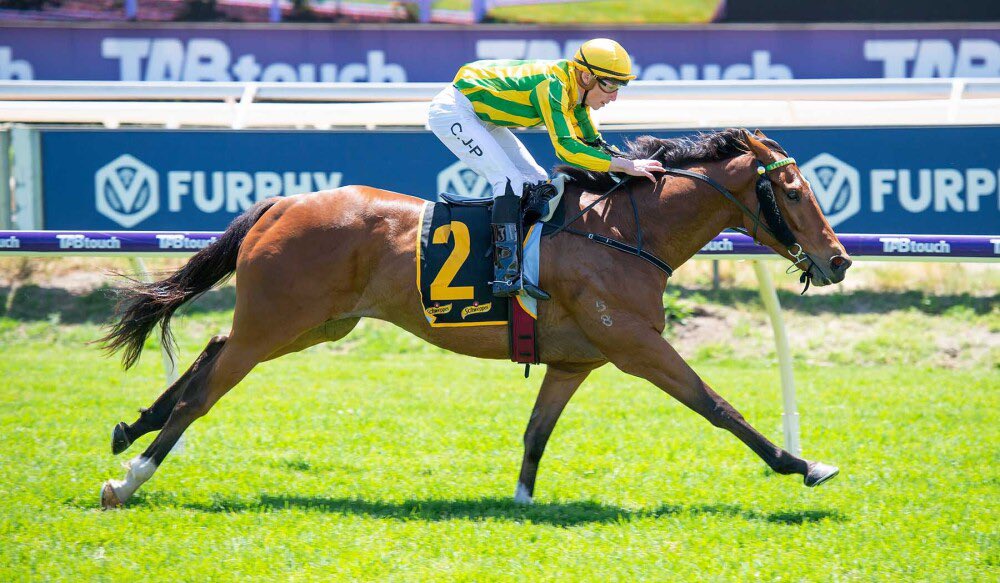 Durrant_Racing's tweet photo. DURRANT RACING TREBLE 🏆
REAL DANGER [#IAmInvincible X Real Charm]
HE’S A LUCKY LAD [#MyAdmiration X Lucky You]
RARE ENCOUNTER [#AlMaher X Miss Encounter]

📷 @WesternRacepix https://t.co/HbK1RWRPVR