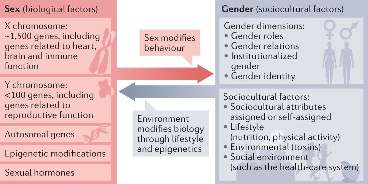 NatRevCardiol's tweet photo. New Review! Vera Regitz-Zagrosek &amp; Catherine Gebhard discuss the effects of sex and gender on the pathogenesis, clinical manifestations and treatment responses of patients with ischaemic heart disease or heart failure
https://t.co/mv5c4sAZBr
#GenderMedicine #CardiovascularDisease https://t.co/kSJWh3GUEk