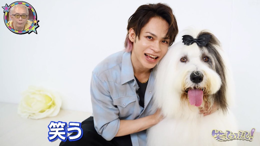 Fgjf_D0aEAAToIB?format=jpg&name=medium