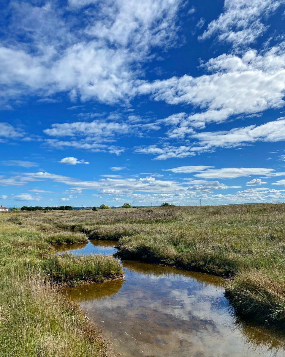 Looking for something to do this #weekend with the #family? A day out at Seasalter, breathing in the fresh sea air, is a must. It is located on the north coast of #Kent, between the towns of #Whitstable and #Faversham. 📸 girl.aboutkent on Instagram