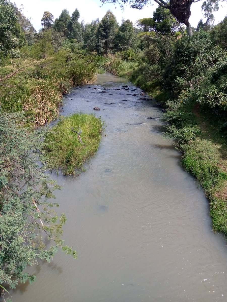 GeocitySurvey's tweet photo. Surveying along wetlands areas.

#Qualityspatialsolutions https://t.co/qN5PDkxCBc