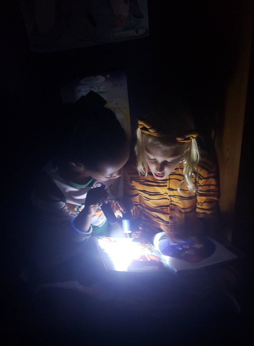 LindoraBiggers's tweet photo. Flashlight reading is the best! We love to read! ♡ #minshewcolts1 https://t.co/Ci5Qb3uTq3