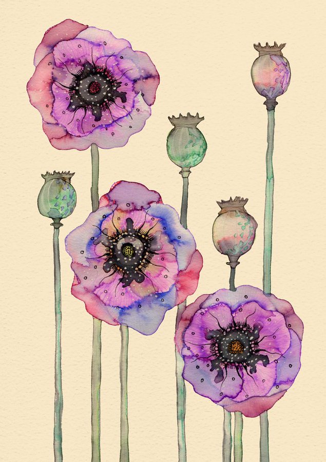 'Wild Poppies' by Colleen Parker, contemporary artist and illustrator #WomensArt