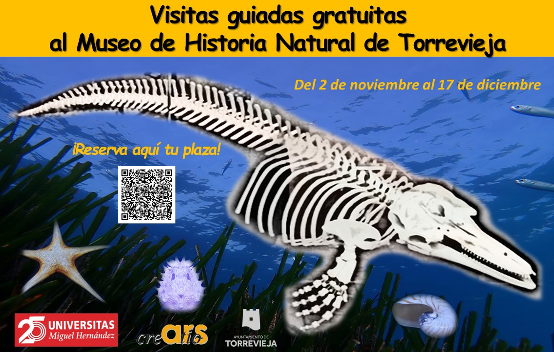 TorreviejaAyto's tweet photo. ➡️ El Ayuntamiento reabre el Museo de Historia Natural con visitas guiadas gratuitas
desde el próximo viernes, 4 de noviembre, hasta el 17 de diciembre
+info 👉 https://t.co/N2GSXEh6Cr
#poryparatorrevieja #museo #historia #natural #visitas #guiadas https://t.co/CKp5D0r3fu