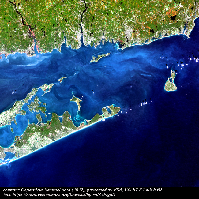 ESA Earth Online tweet media
