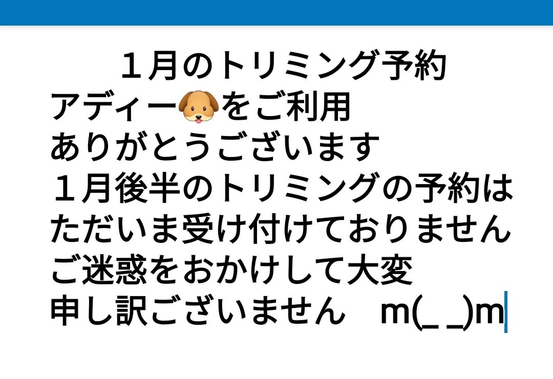 一宮市アディー🐶#トリマー募集　#トリマー　#トリミング　#プードル　#ダックス
#セントラルトリミングアカデミー #名古屋動物専門学校#トリマー募集