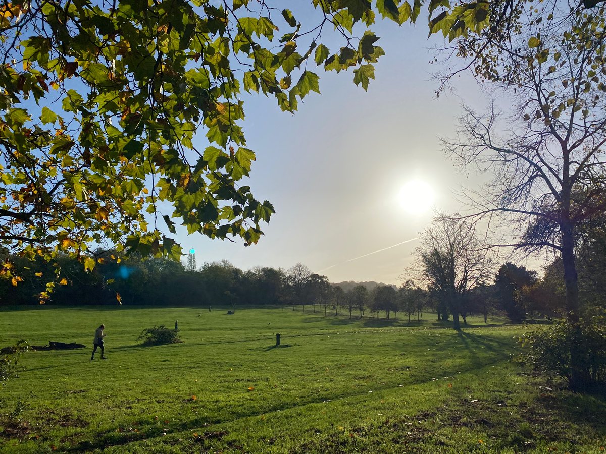 Autumn morning run.. looking good in the sun