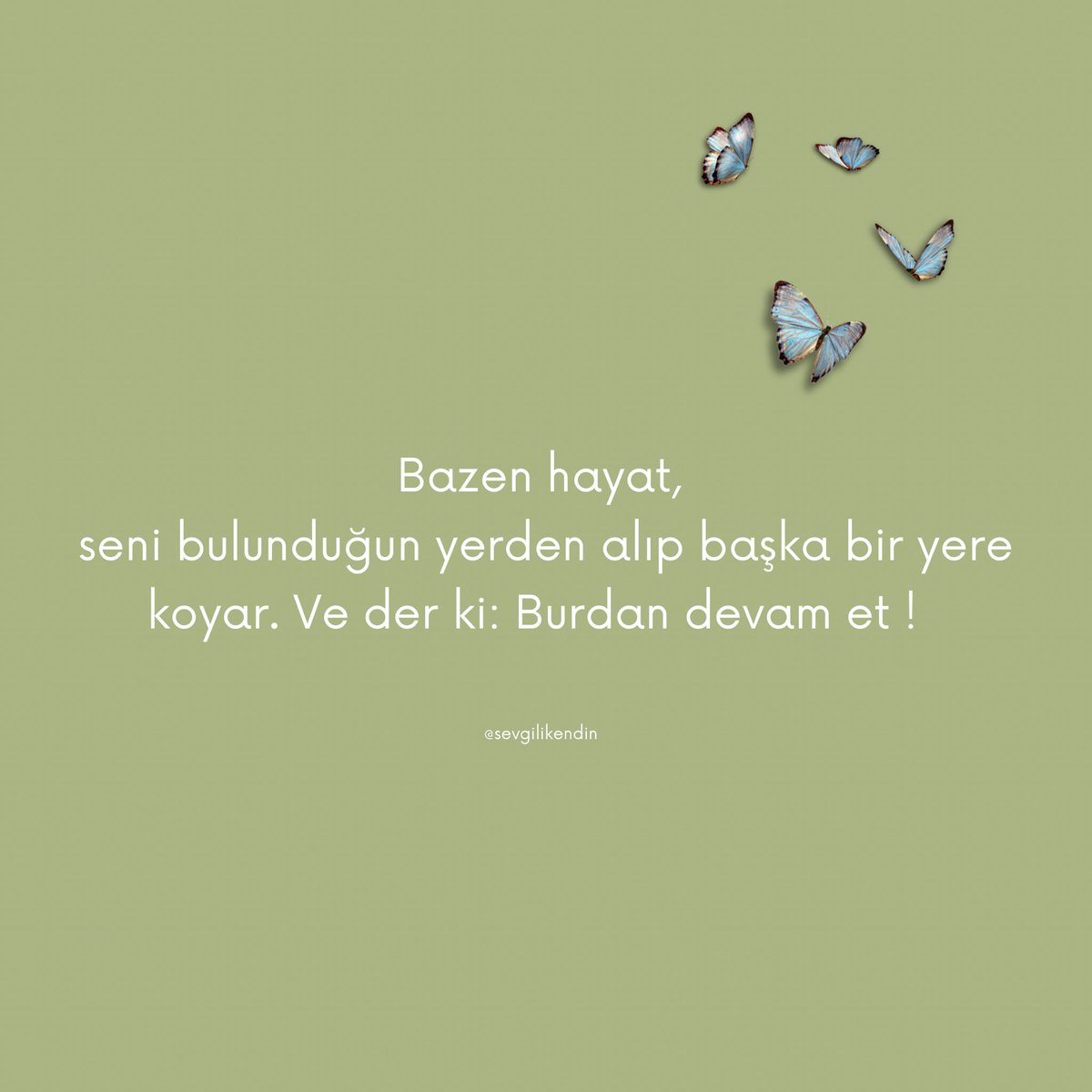 Sevgili kendim, (@sevgilikendin) on Twitter photo 