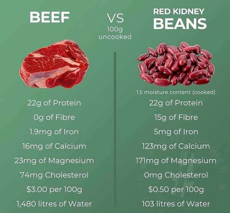 Unpopular fact: High Beef consumption accelerates climate change