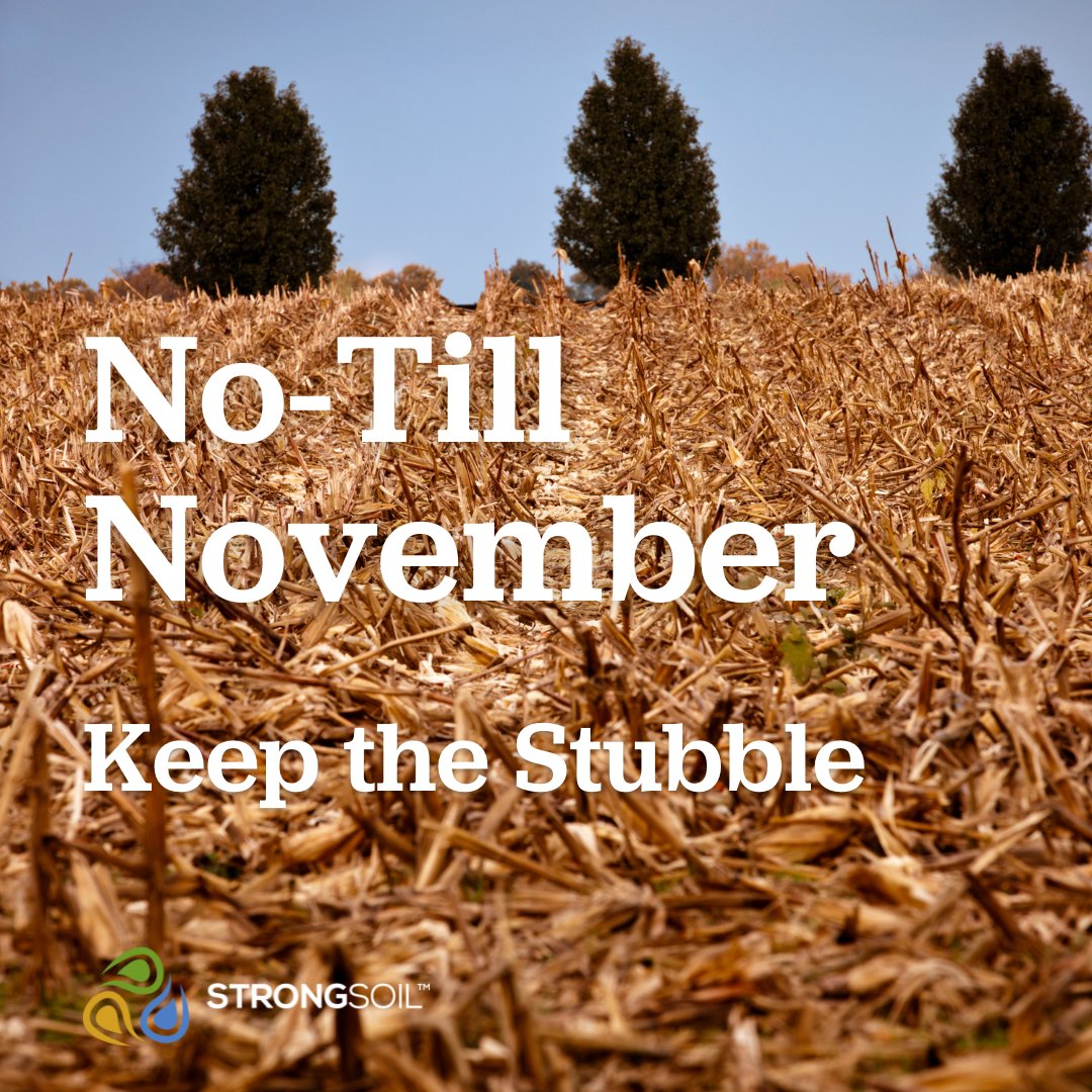 StrongSoil (@soil_strong) on Twitter photo 