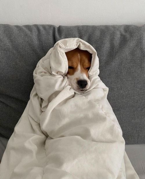 liviuuh's tweet photo. midweek mood https://t.co/10VHD9rJQ8