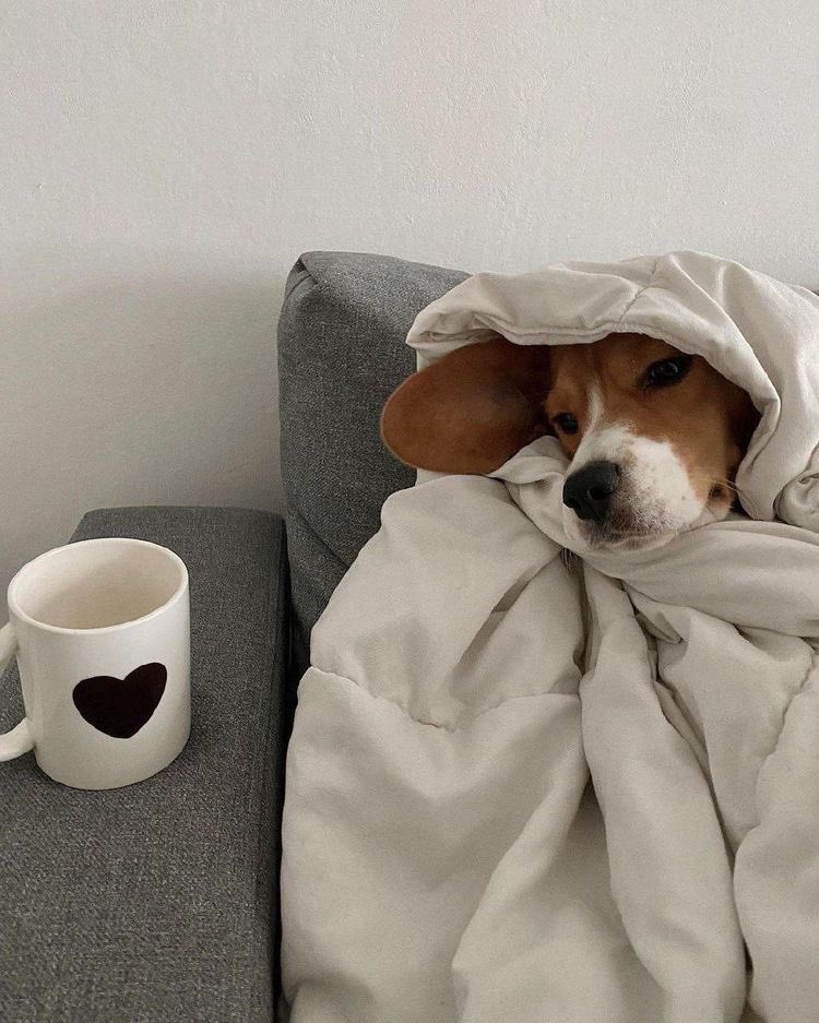 midweek mood