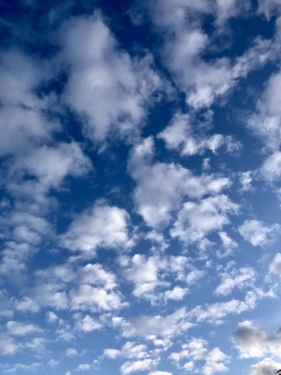 glaubeweiter's tweet photo. #Himmlischer #November - #Himmel #Schauen + die #Gedanken mit den #weißen #Wolken treiben lassen! „Herr, deine Güte reicht bis an den Himmel und deine Wahrheit bis zu den Wolken.
Deine Gerechtigkeit steht fest wie die Berge Gottes, dein Recht ist so grenzenlos wie die große Flut“ https://t.co/Btpd9gqZyD