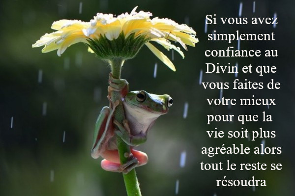 ClarisseContact's tweet photo. Que votre journée soit douce https://t.co/V3QprneLQ3