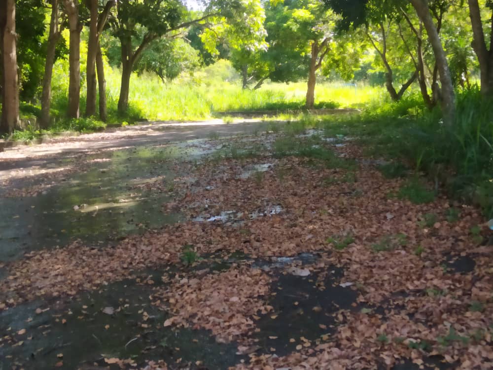 infomacaracuay's tweet photo. Srs  @HidroCapital2 vecinos zona K, Av Manaure, reportan bite de agua importante en el parque Manaure que afecta al sector popular Las Brisas de Petare, el agua está socavando el asfalto @RMarcoTorres @MinAguasVen @imasucre @lAlcaldiasucre @JoseVRangelA https://t.co/TjhKy4EoFQ