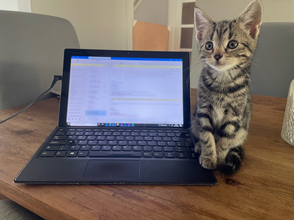 Dr Robyn Bullingham tweet media