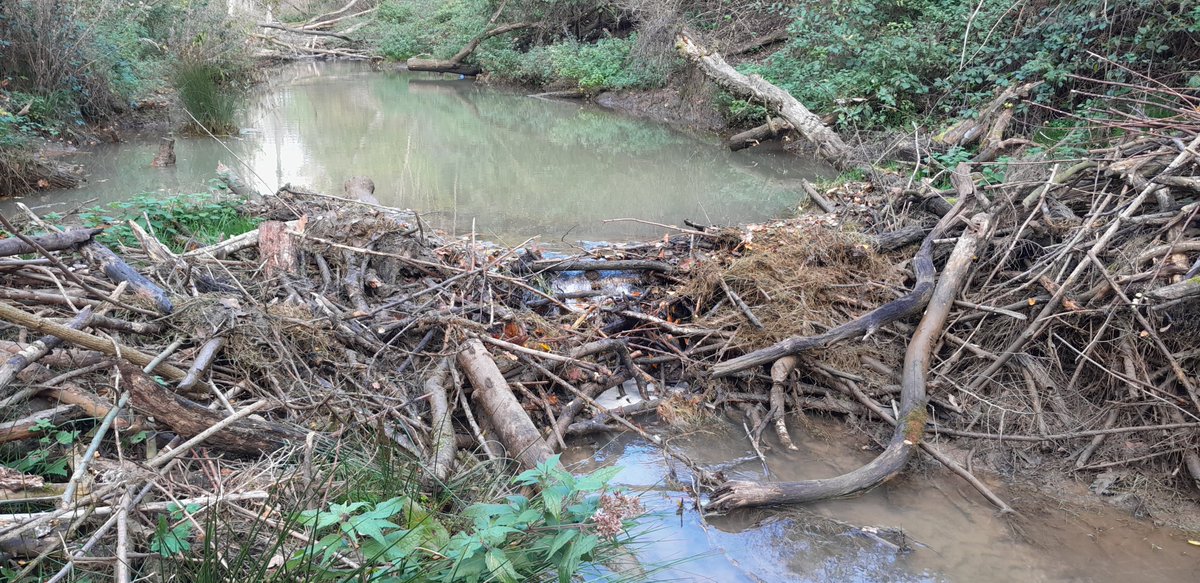 Beverdam te Bunderbos.