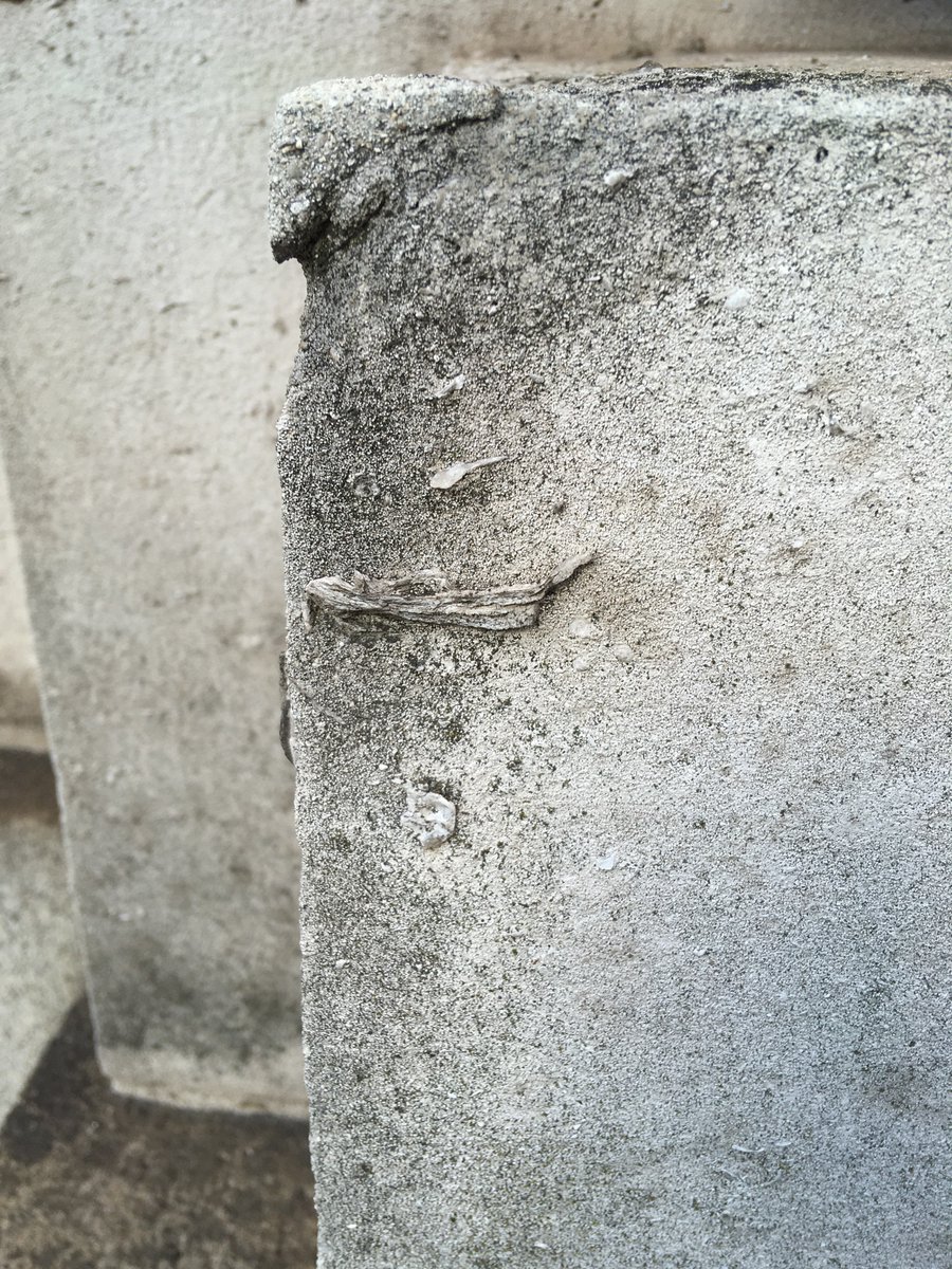 Jurassic oyster shell fragments in Portland stone, Royal Society of Medicine, Wigmore St, London W1. @pavementgeology #FossilFriday