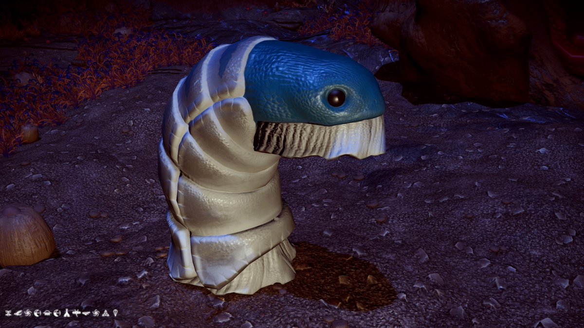 Courtney tweet media