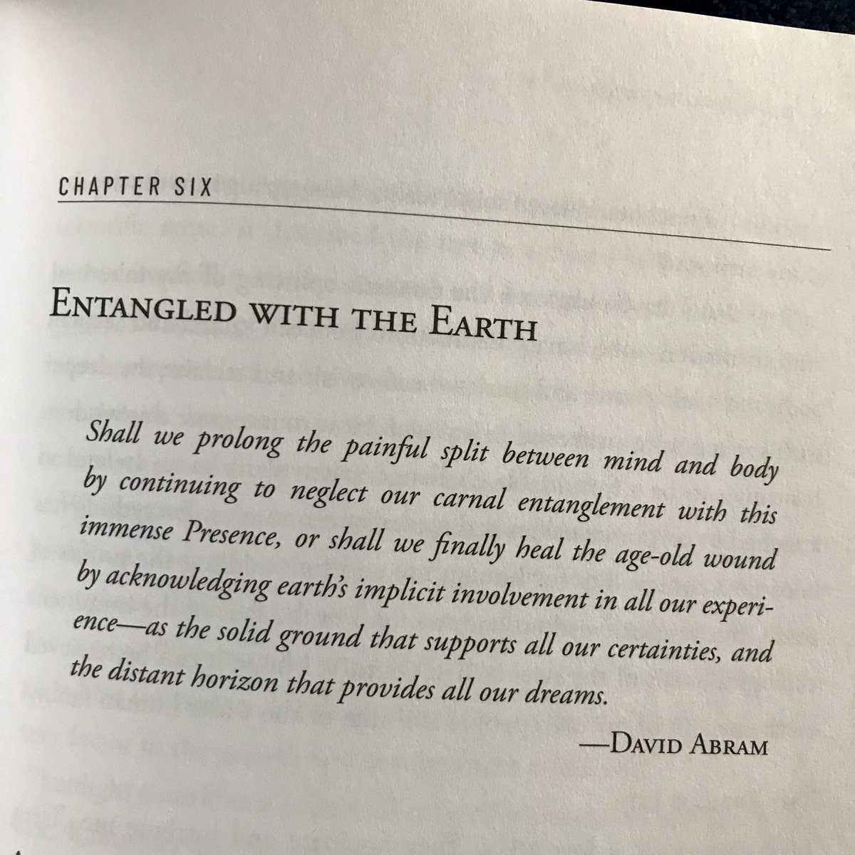 grateful for theologies of earthly entanglement ✨