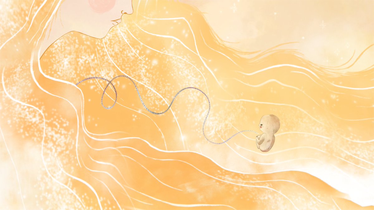 madridencorto's tweet photo. ➡ 'La melancolía del Fénix', de Mika Oliete, compite en el #TIAF, Tbilisi International Animation Festival, que comienza hoy en Georgia.

¡Deseamos mucha suerte a todo el equipo!

El cortometraje forma parte del catálogo de #MadridEnCorto2022, apoyado por @CulturaCMadrid. https://t.co/9XADN3uorP