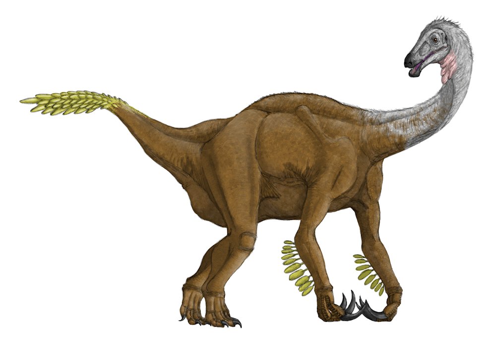 kta92751434's tweet photo. #Alxasaurus #アラシャサウルス
#Erlikosaurus #エルリコサウルス
#Therizinosaurus #テリジノサウルス
#Therizinosauridae
テリジノサウルス類いろいろ https://t.co/58ybLYQzuC