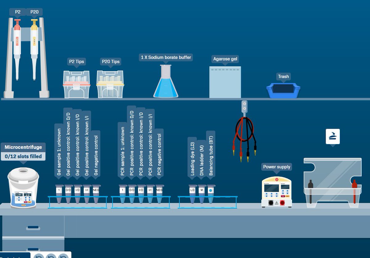 JAX Genomic Education tweet media