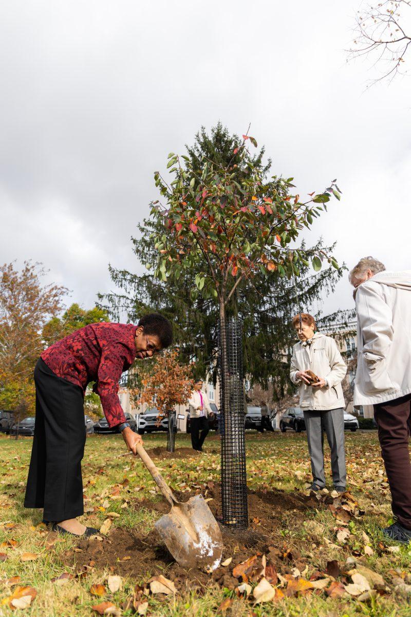 Nazareth Commemorates 200th Anniversary with Tree Planting

conta.cc/3SYIUB1