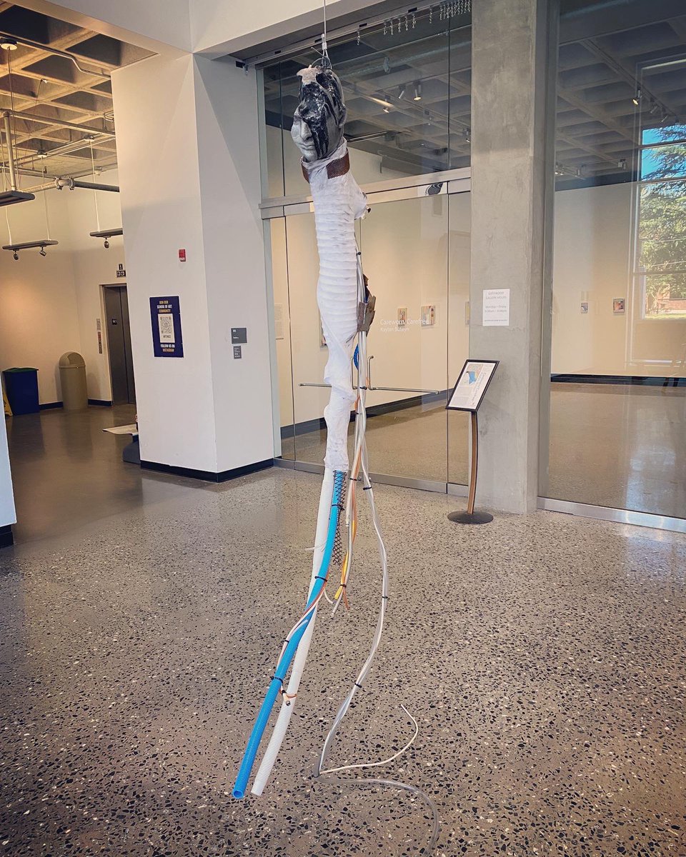 Peter Draws ✍️ tweet media