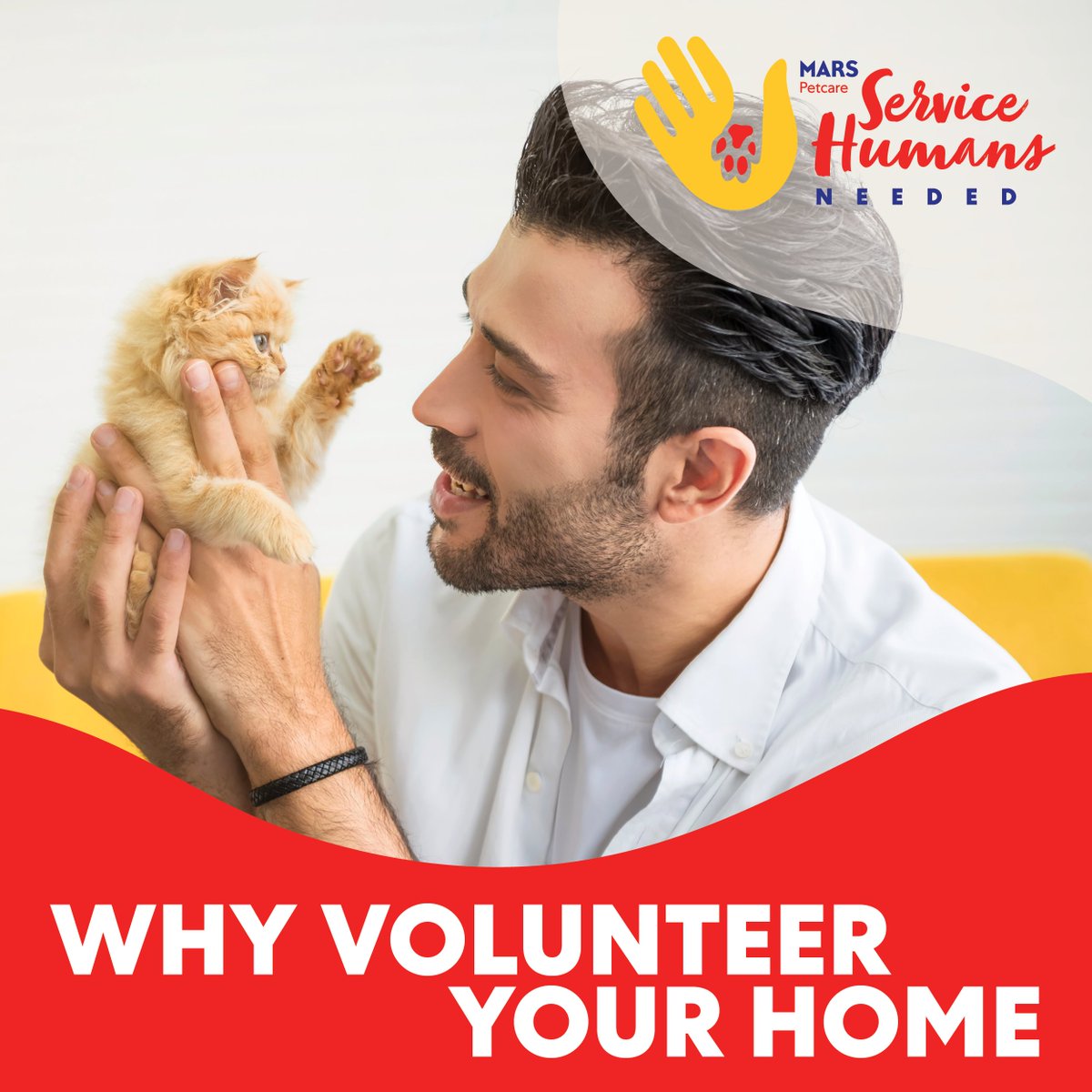 Pets are spending more and more time in shelters, causing resource constraints for the shelters and stress for the pets. When you foster a pet, you help reduce shelter overcrowding and give a cat or dog a loving home as they wait to be adopted. ❤️ #ServiceHumansNeeded