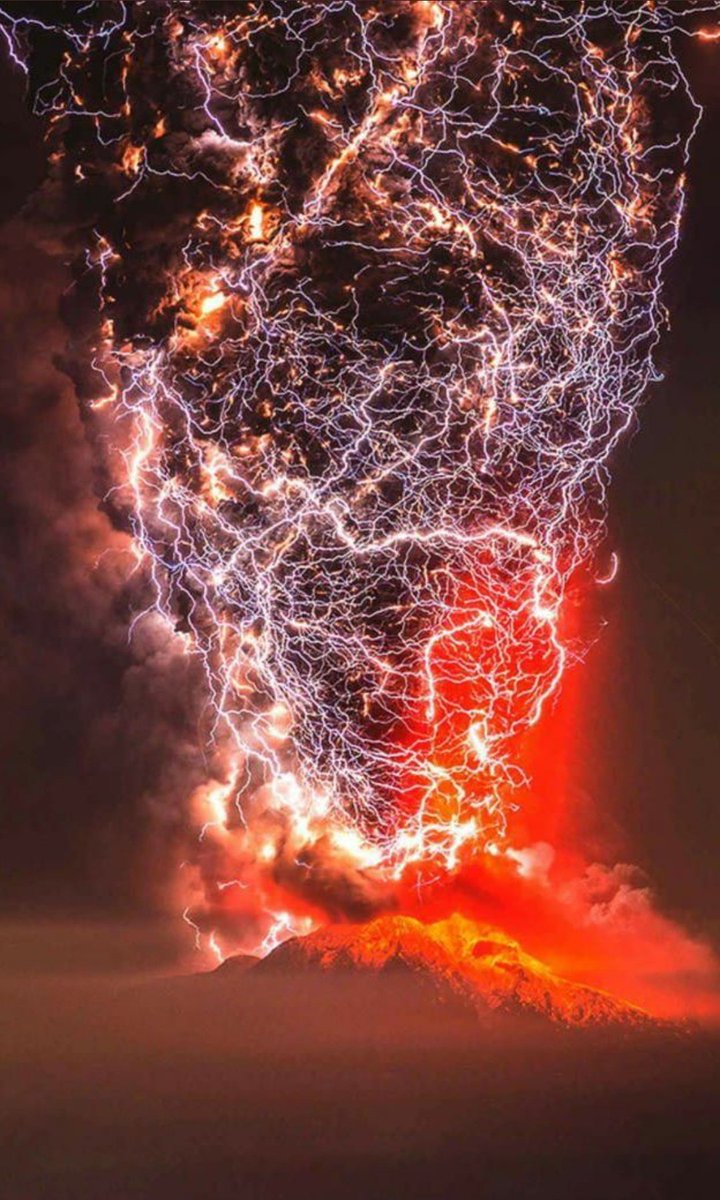 Learn Something tweet media