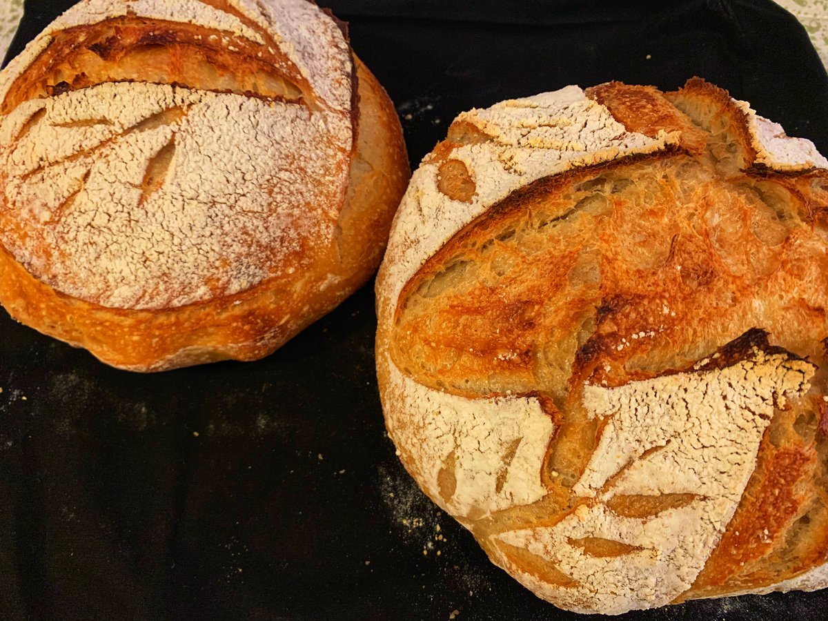 Seasonal item in our household: sourdough bread! It’s seasonal bc only in the cooler months is it acceptable to crank up the oven. 😅