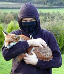 Next year is the Hunt Saboteurs Association's 60th birthday, the world's longest-surviving direct action organization. We are looking for musicians, artists, actors, and anyone in the public eye to assist us in celebrating this milestone. DM me or email Chair@huntsabs.org.uk