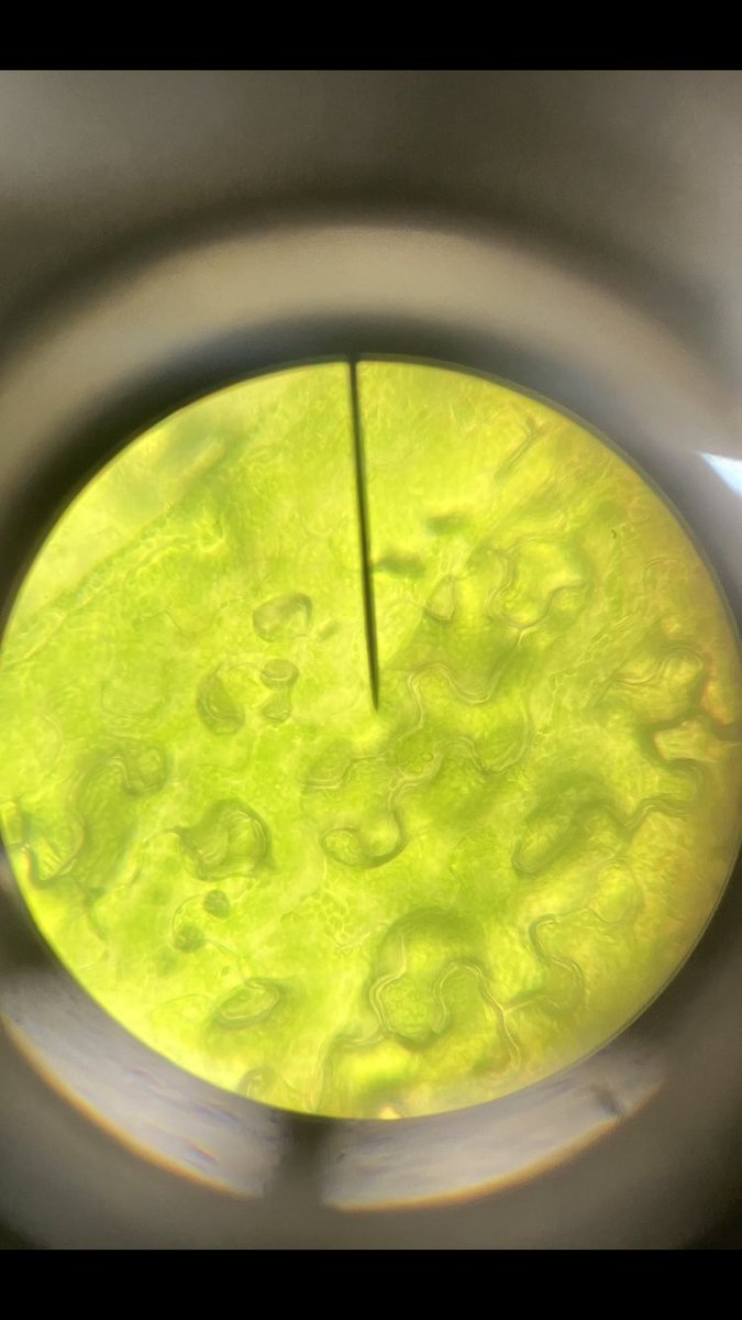 harrisphysics tweet media