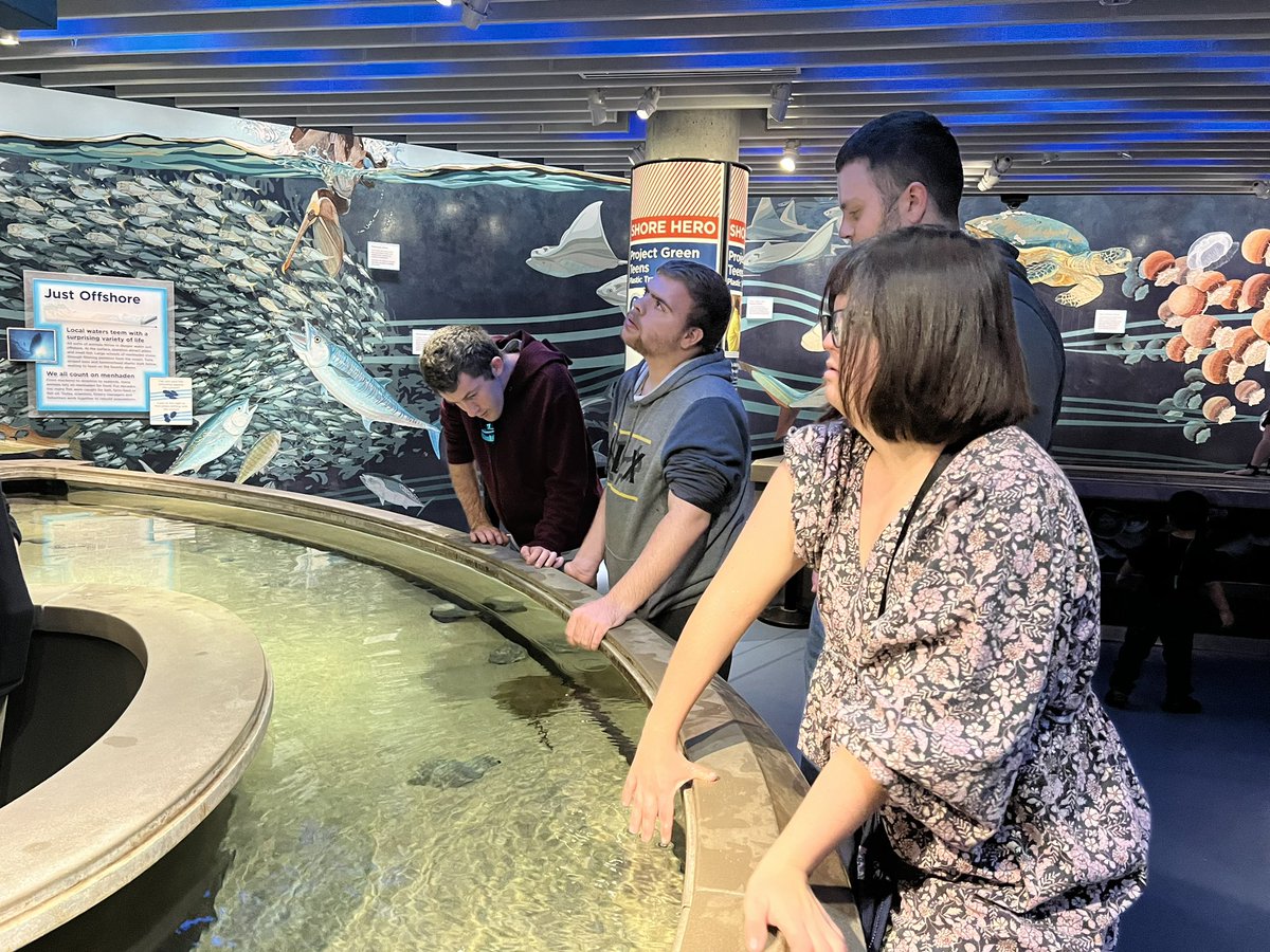 Autumn Ackerman tweet media