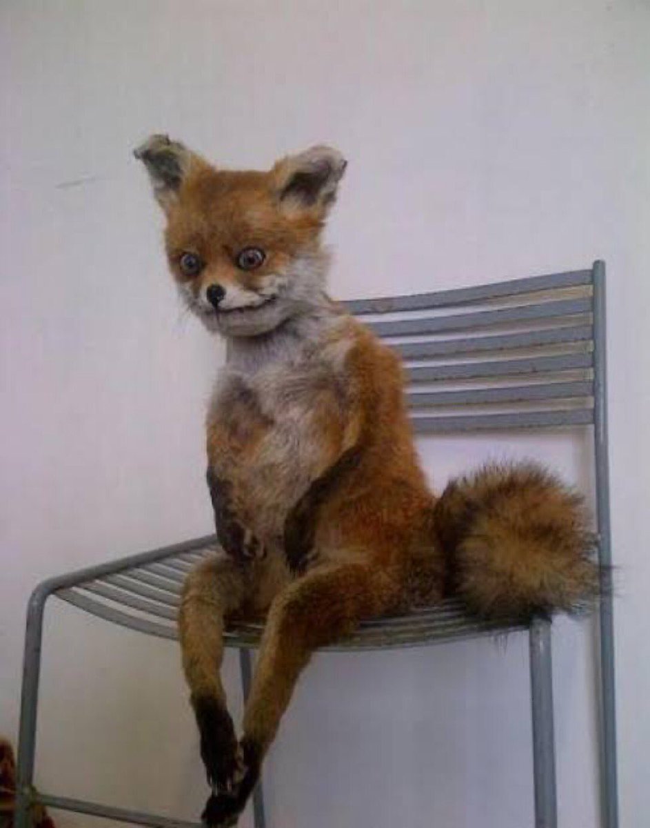 AN1MAS's tweet image. &amp;lt;[ Sorry to disappear, super busy, struggling with rp muse, will be back soon LOL. 😪 ]&amp;gt;