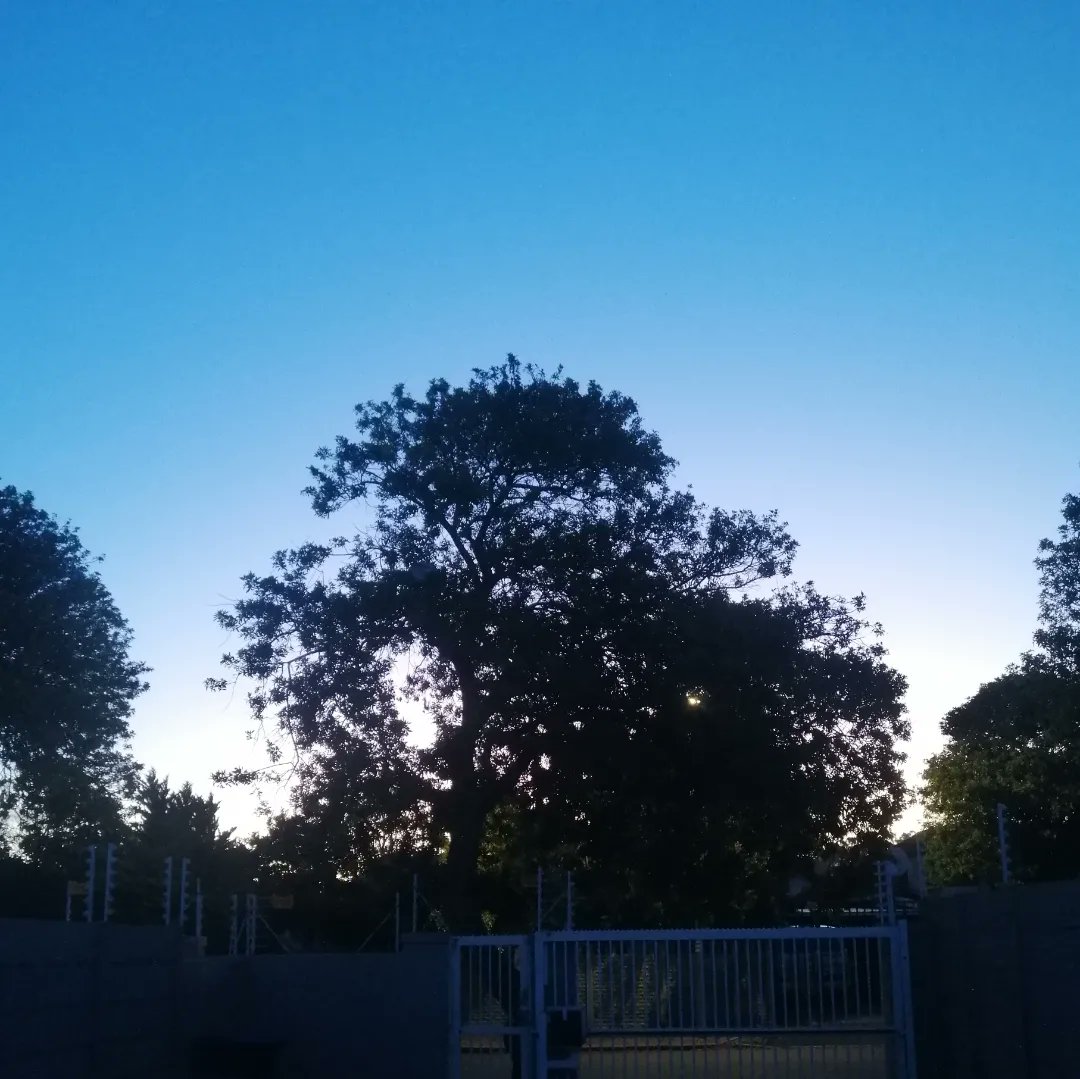 Another beautiful day in the Mother City
#CapeTown
#capetownsouthafrica