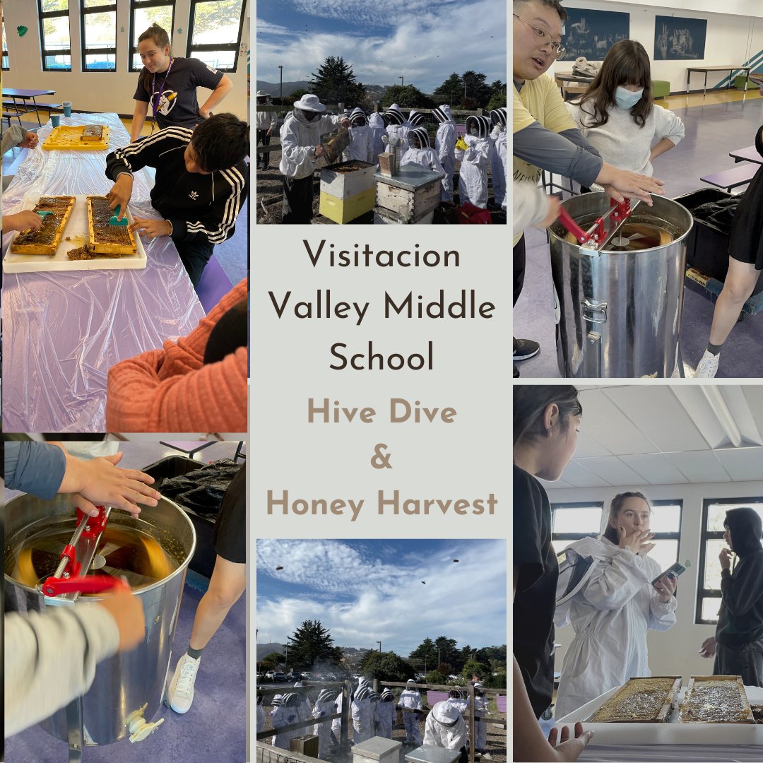 Planet Bee Educators and Beekeepers came out to Visatacion Valley Middle School in SF for several days of beekeeping, hive dives, and honey harvest fun! 

Thank you to Ms. Lucero for being such a great collaborator, and we hope your students had a wonderful experience!