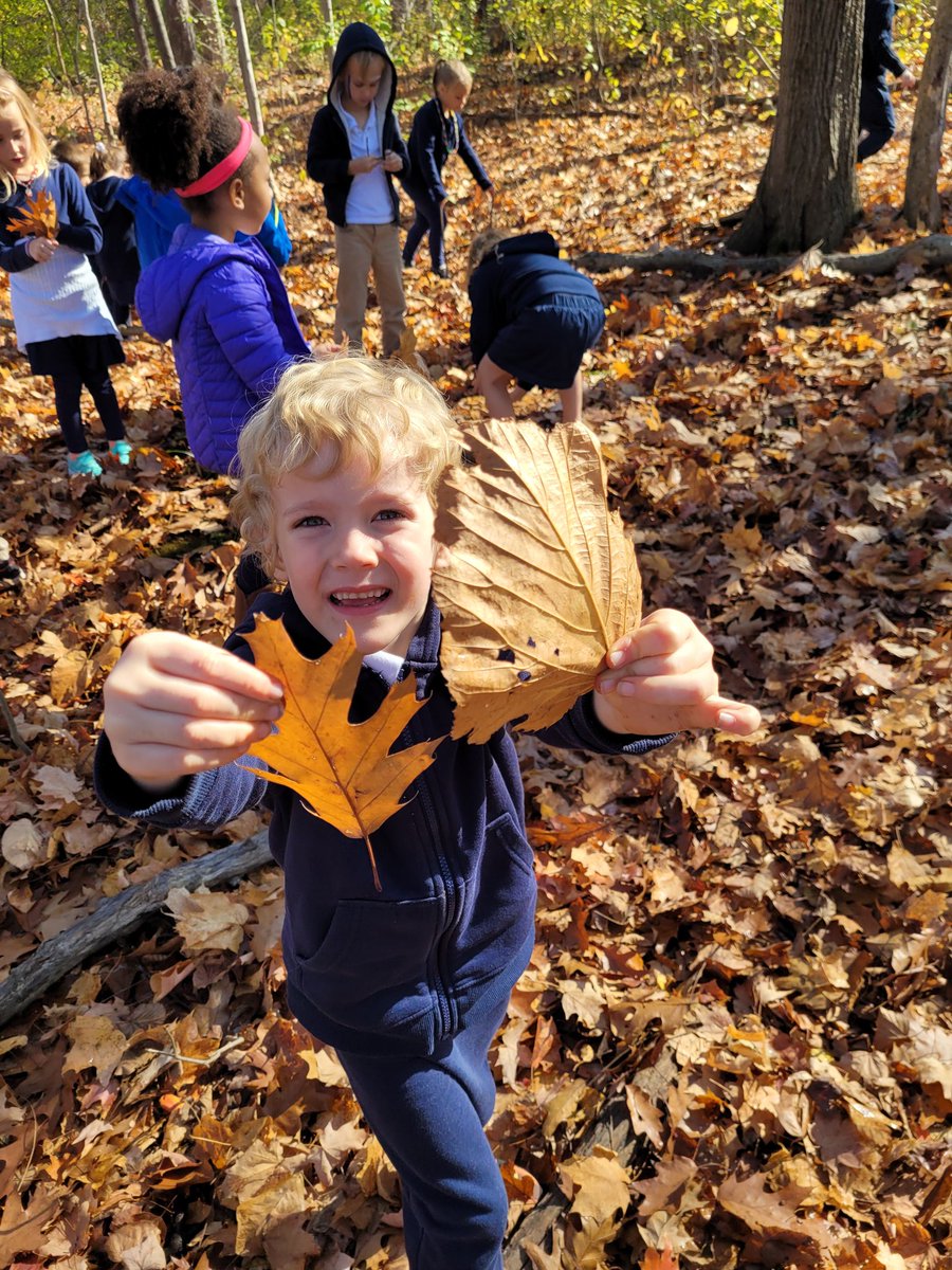 Mme Craig tweet media